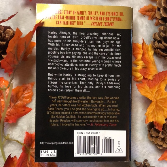 Back Road - Picture 2 of 2